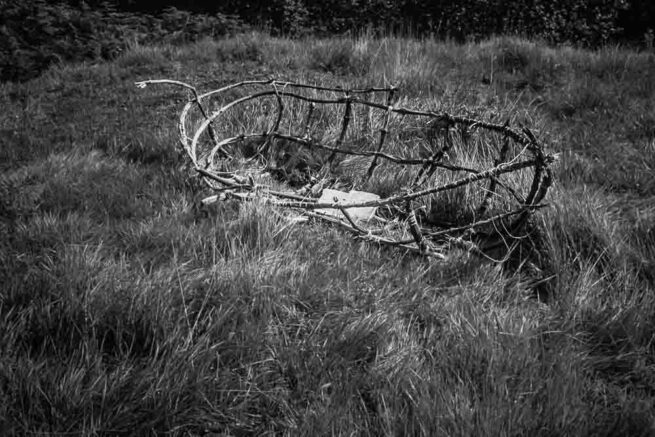 birgit-hampel_gestrandet