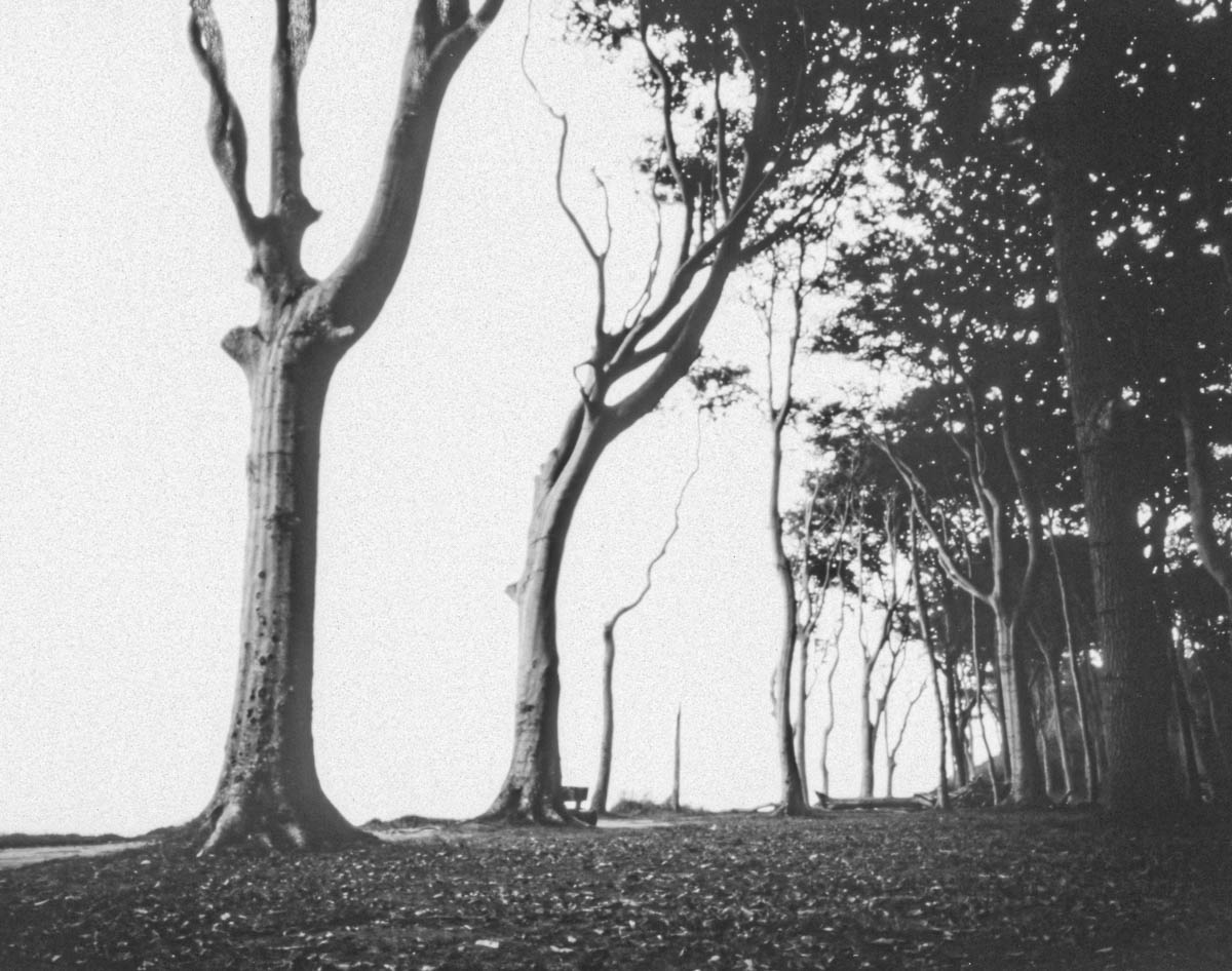 stilles-rauschen_birgit-hampel_03