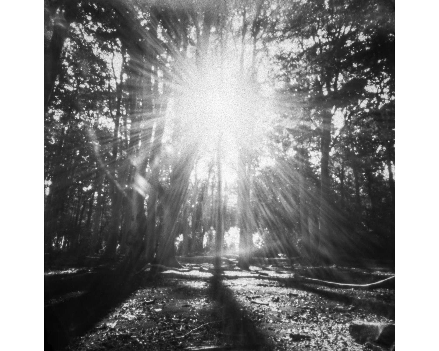 stilles-rauschen_birgit-hampel_05