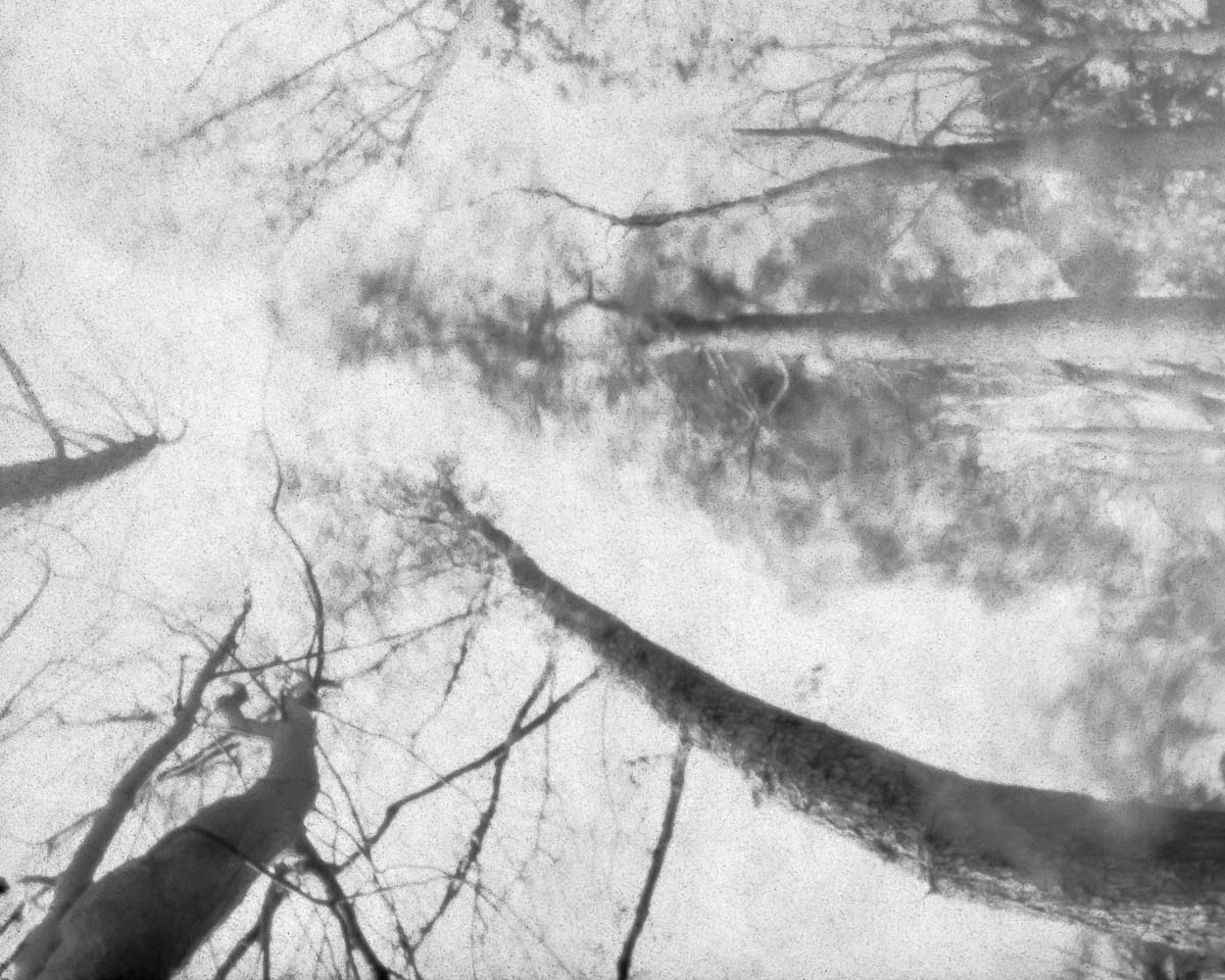 stilles-rauschen_birgit-hampel_06