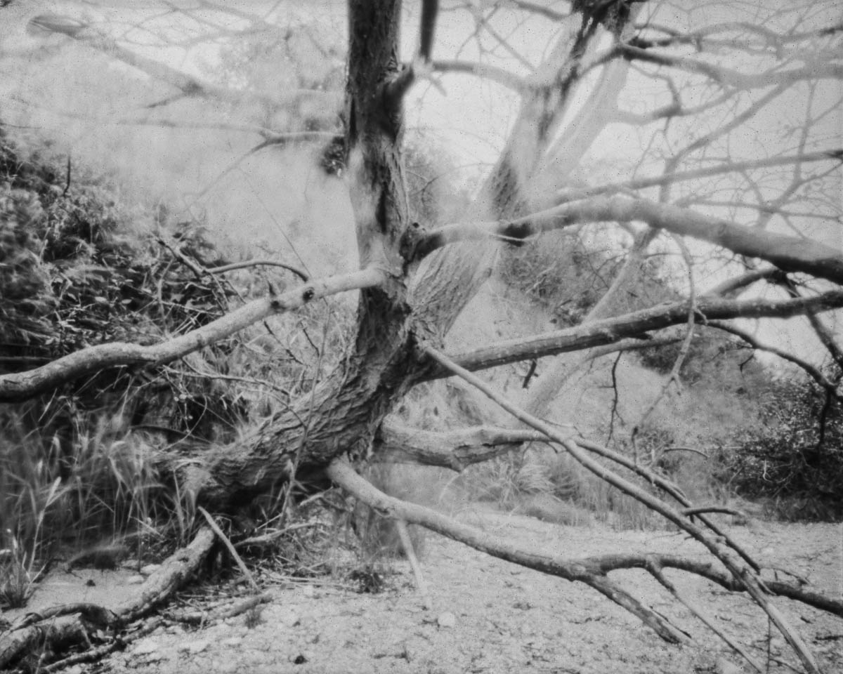 stilles-rauschen_birgit-hampel_07