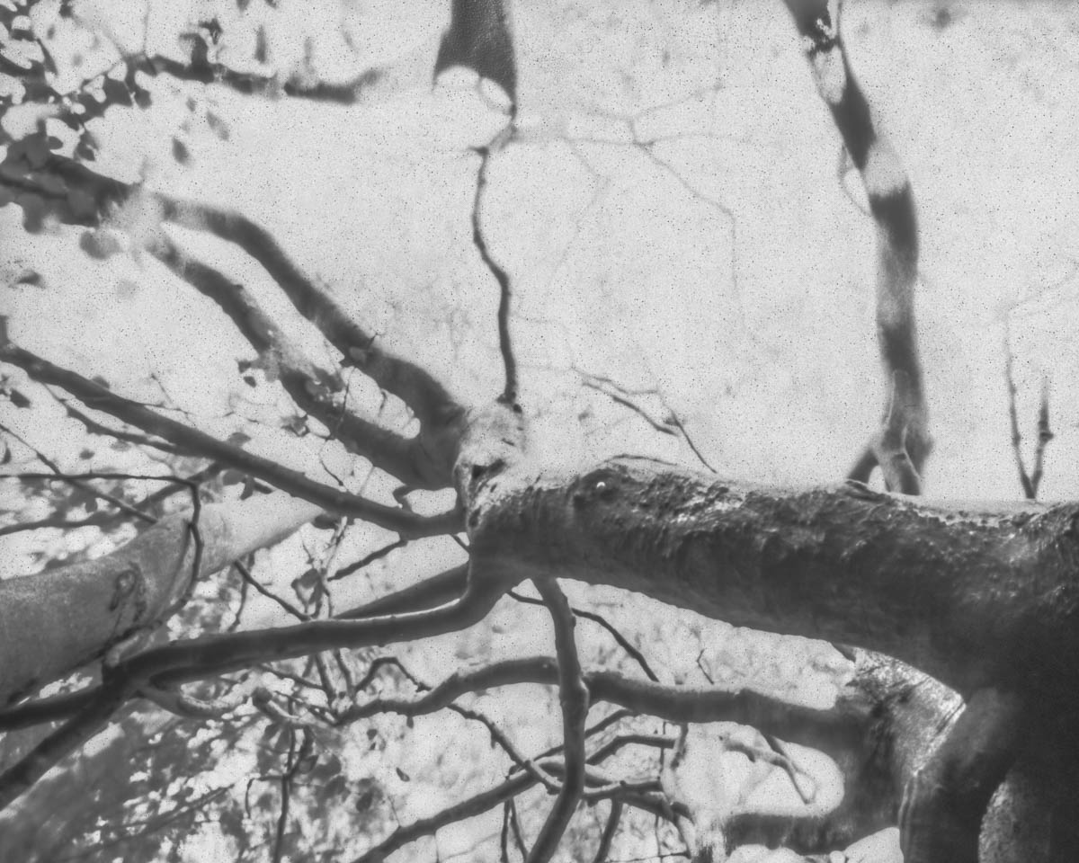 stilles-rauschen_birgit-hampel_08