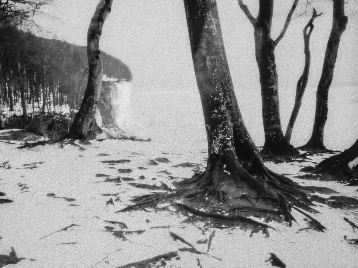 kalter Rausch, Birgit Hampel