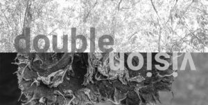 doublevision_ausstellung_einladung_1 double-vision einladung ausstellung