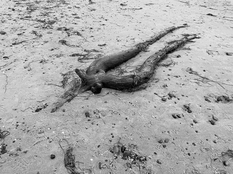 echolot, birgit hampel