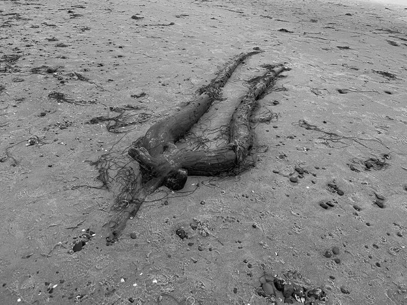 echolot, birgit hampel