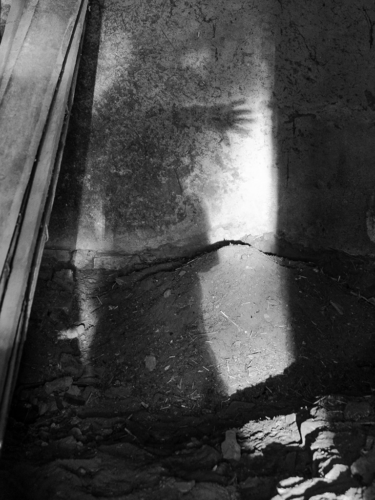 echolot, birgit hampel