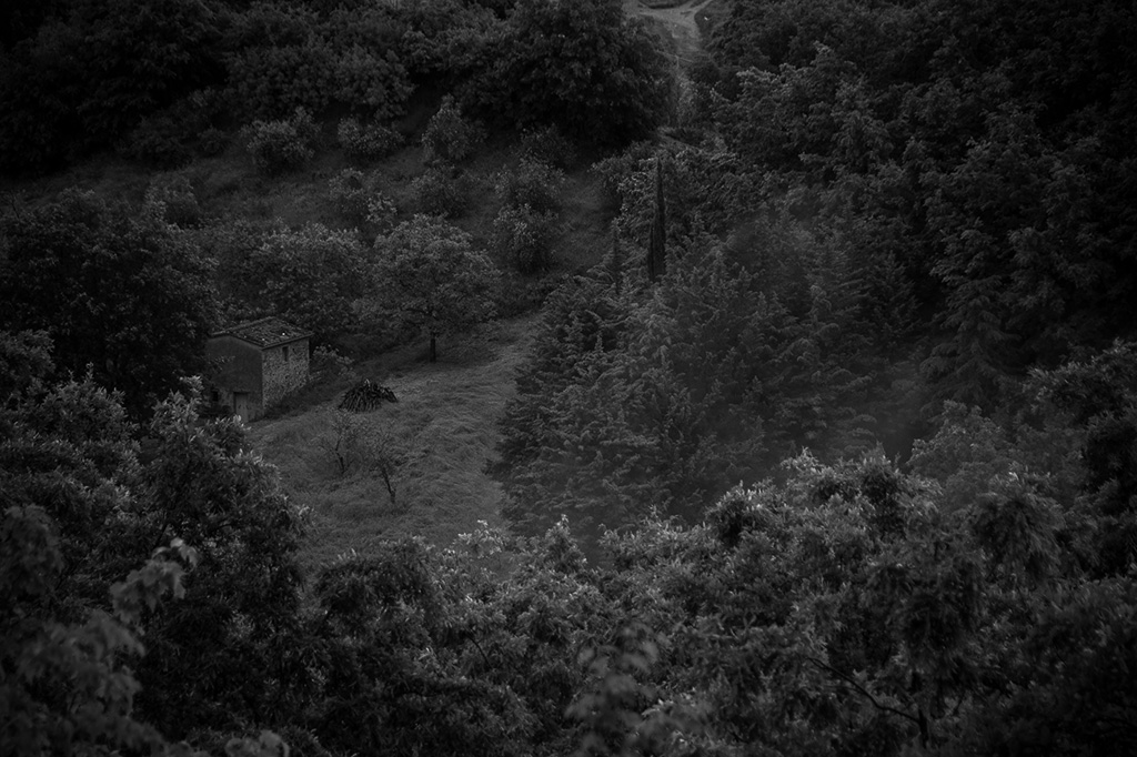 echolot, birgit hampel