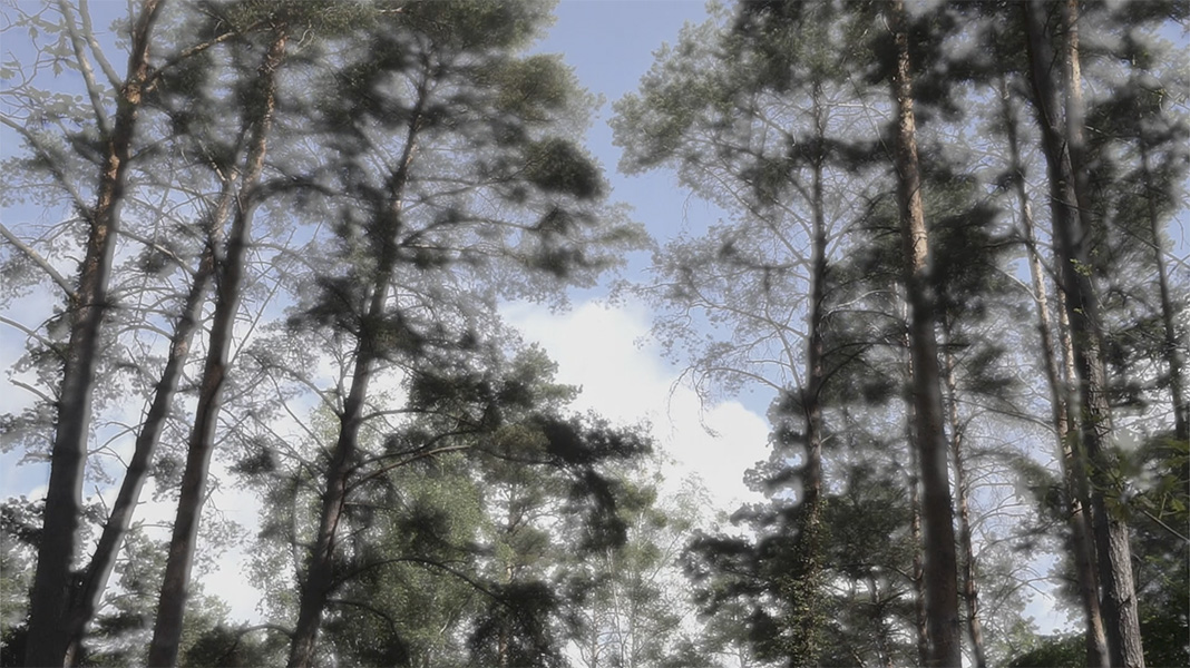 wolkenziehen videostill