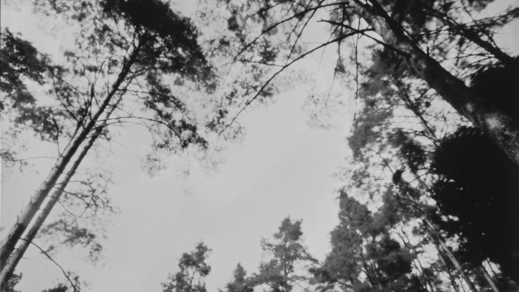 wolkenziehen 03