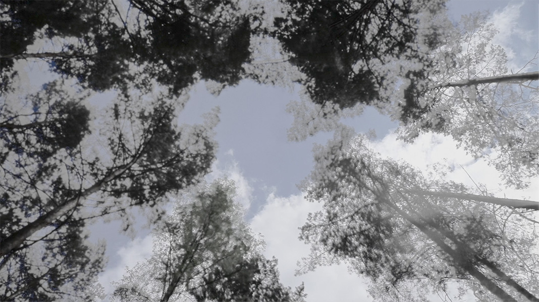 wolkenziehen videostill