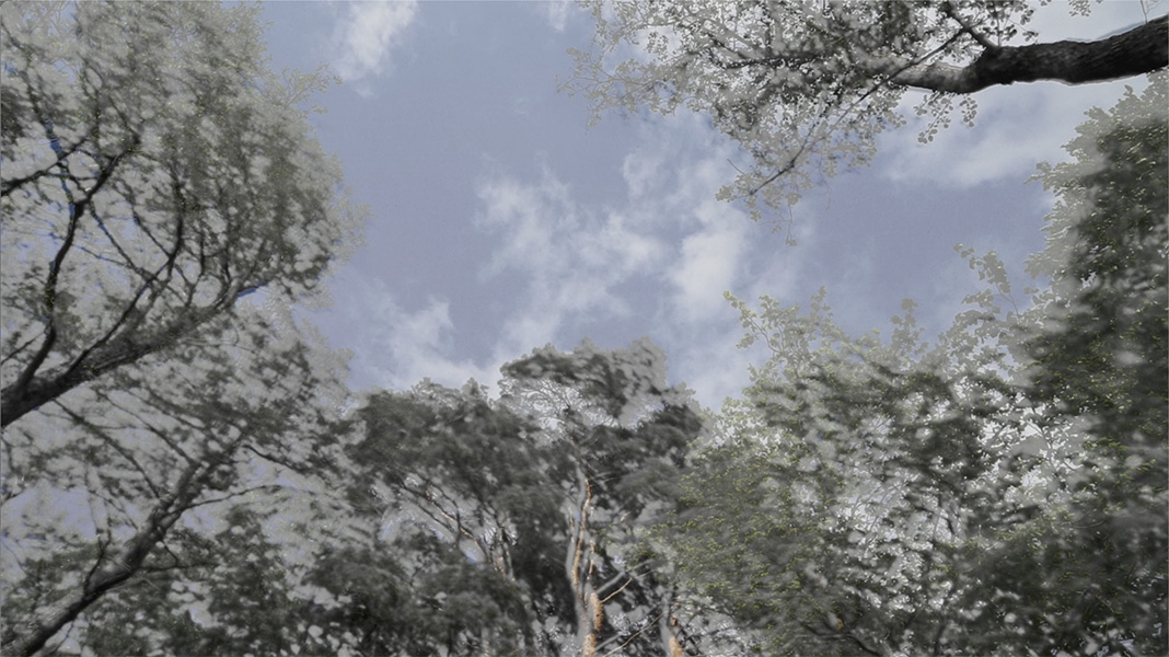 wolkenziehen videostill